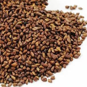 Cassia Seed Extract