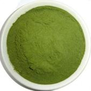 Organic Wheatgrass Powder